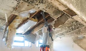 Best Real Estate Mold Inspection  in College, AK